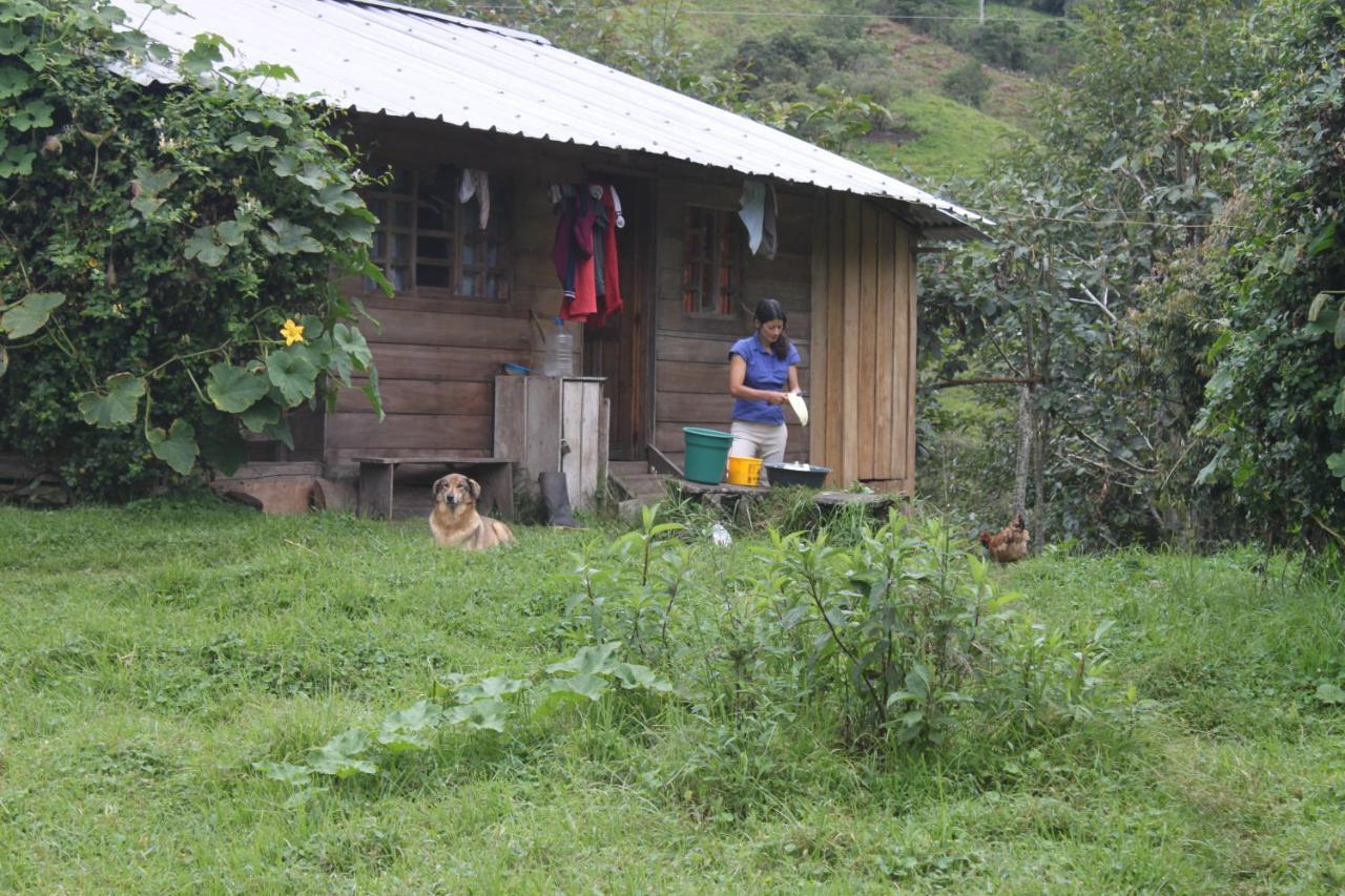Patricia And Ned'S Cloud Forest Farm Cotacachi Exterior foto